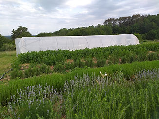 20210618_092030.jpg