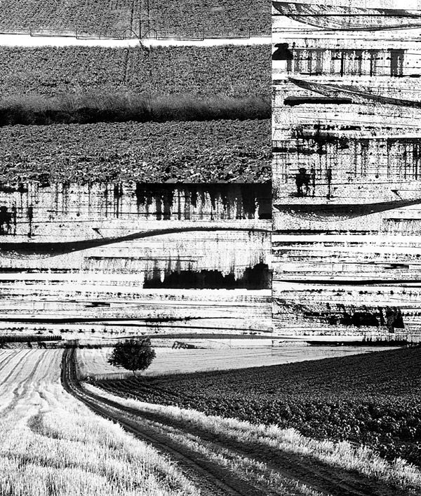 SarmataFields IX