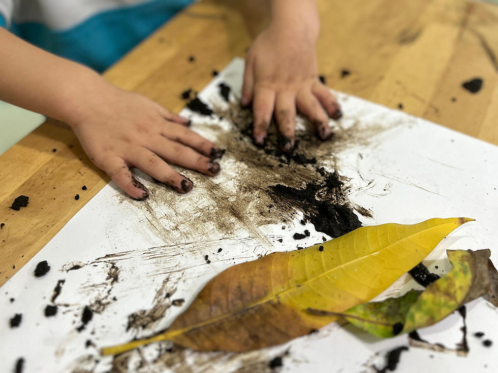 Child plays with soil and leaves using their hands at ABCnMe Preschool in Costa del Este, Panama, as a form of early learning and stimulation.