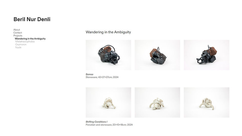 Ceramic Artist Website for Beril Nur Denli