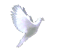 Bereavement Services