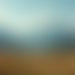 Uncovering the Current Trends in the Hamilton, Montana Real Estate Market