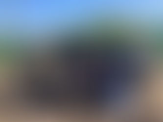 🍠秋の収穫体験「さつまいも掘り」を行いました