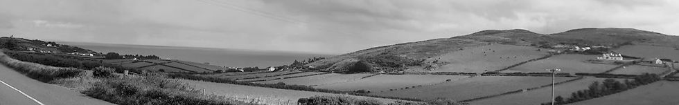 Donegal black and white_edited.jpg