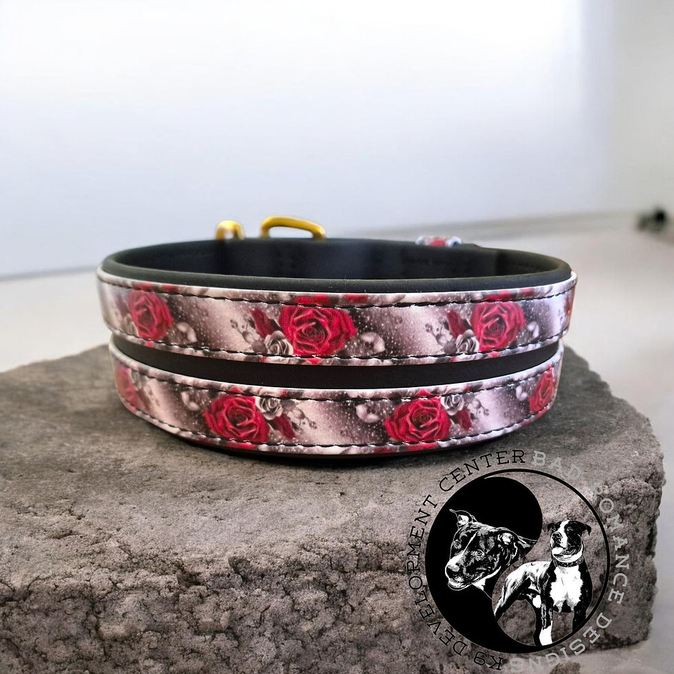 Thumbnail: 2 inch UV printed Stripe Collars