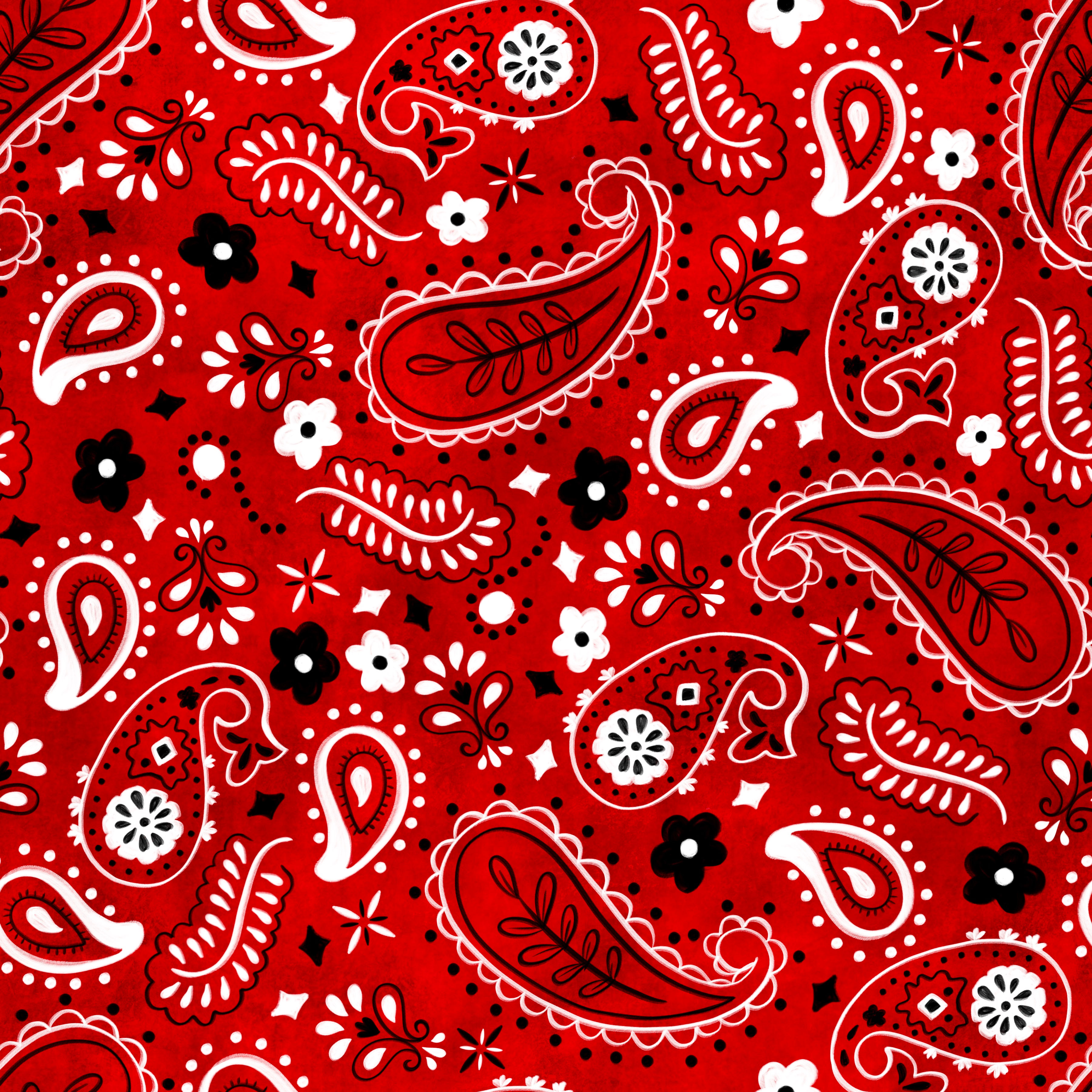 Red Paisley Bandana