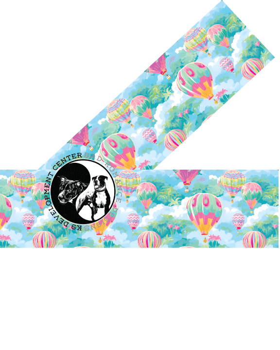 PREPPY-HOT-AIR-BALLOON