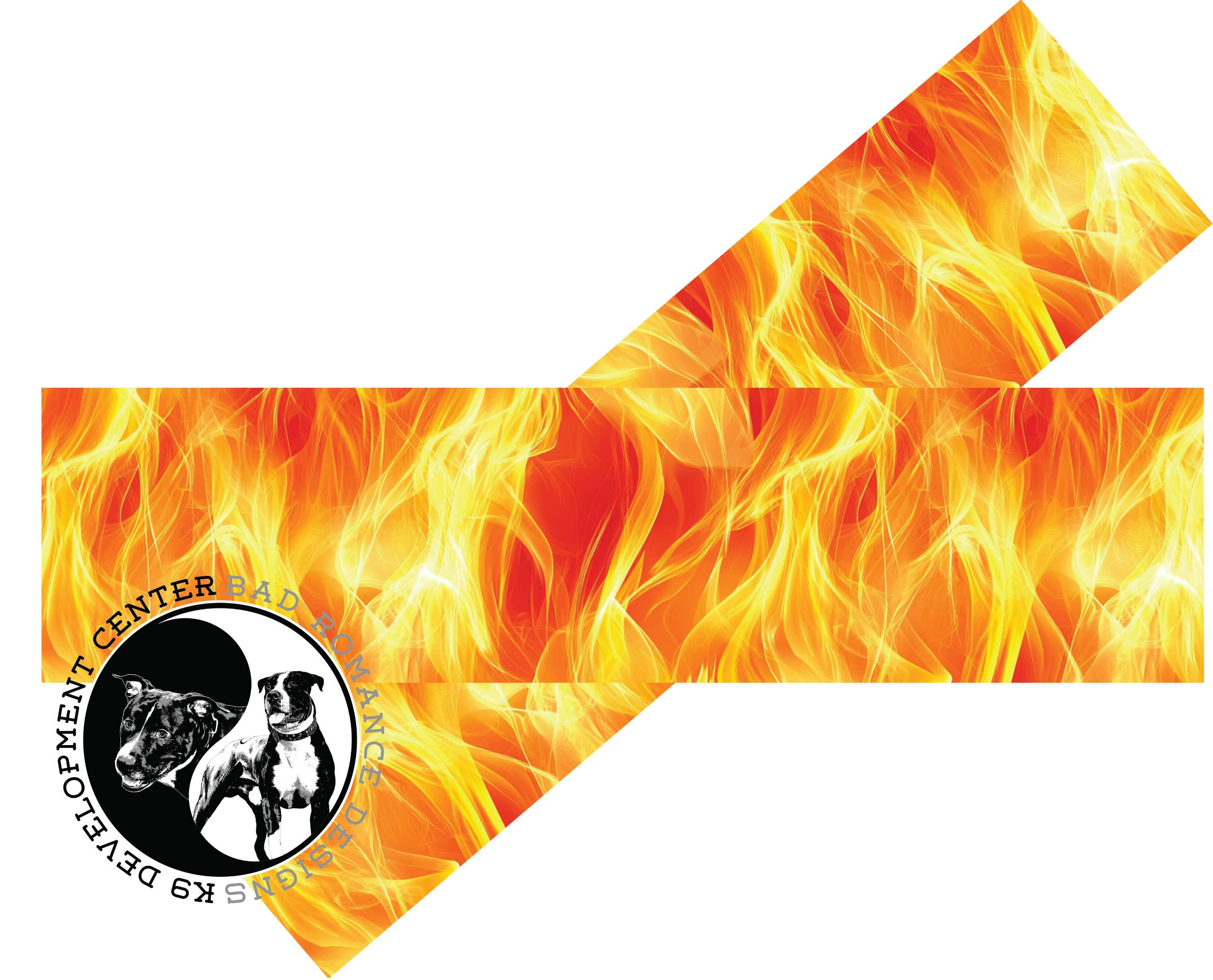 REALISTIC FLAMES 2026