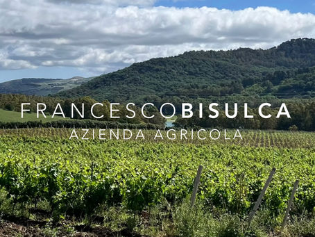 Benvenuti nel nostro blog: Francesco Bisulca e la sua azienda agricola, dove la terra incontra il futuro