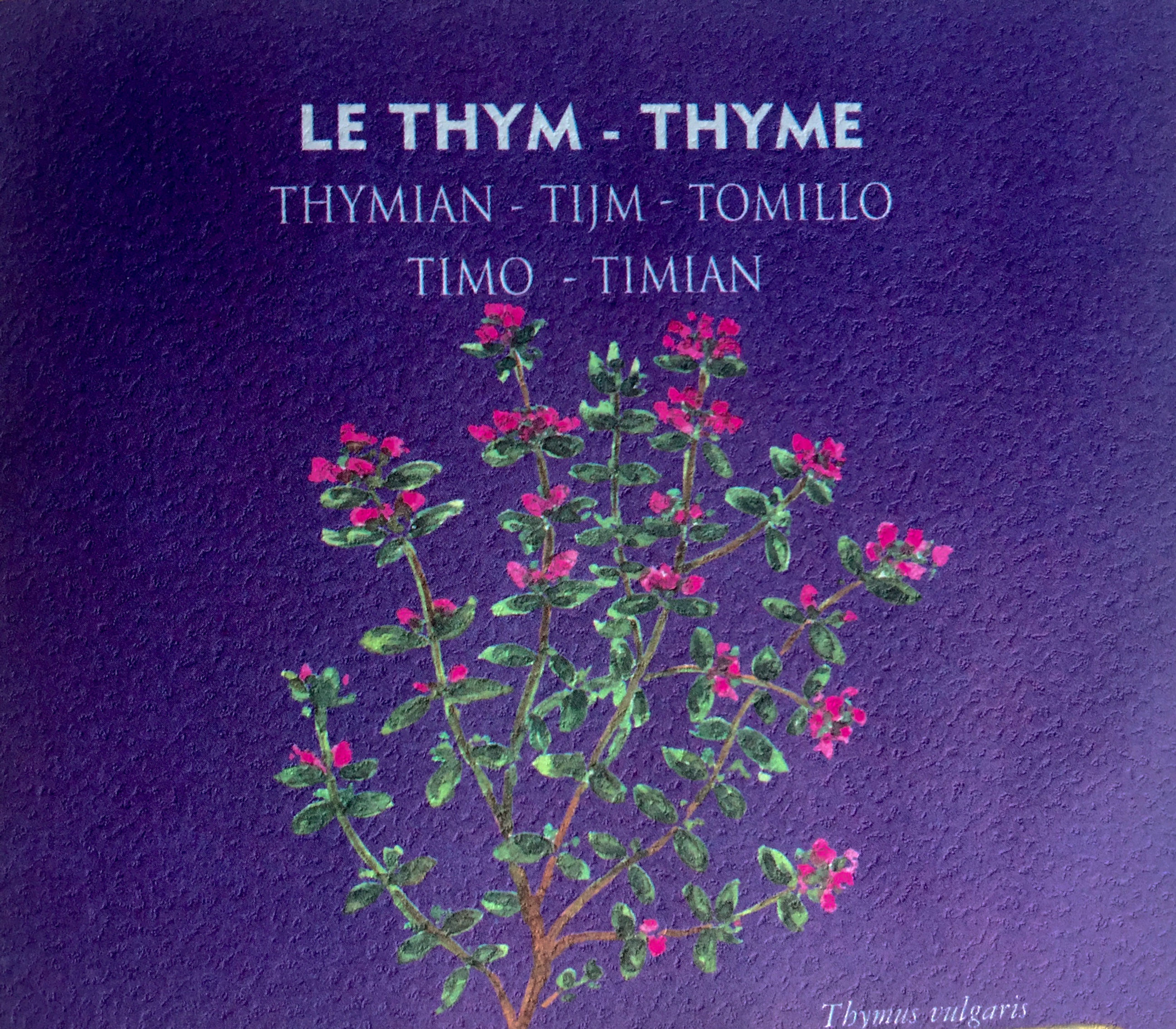 Thyme | gardening kit for kids