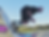 E80157A6-137B-49AC-8459-F884AEE64C7A_edited_edited_edited.png