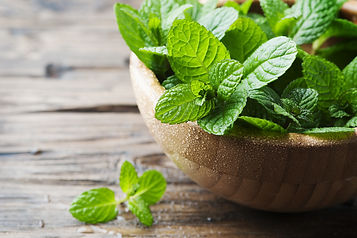 Green fresh mint om the wooden table, se