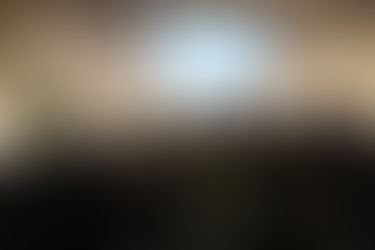 TREM DO VUOLO
Ferronorte entra na pauta do TCU