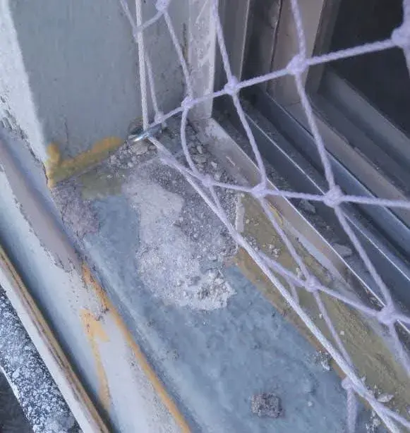 d48ac2_67ad7e8442ea4b9087632a06a38ba16e~mv2