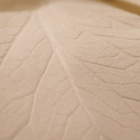 3D Lamp Category.gif