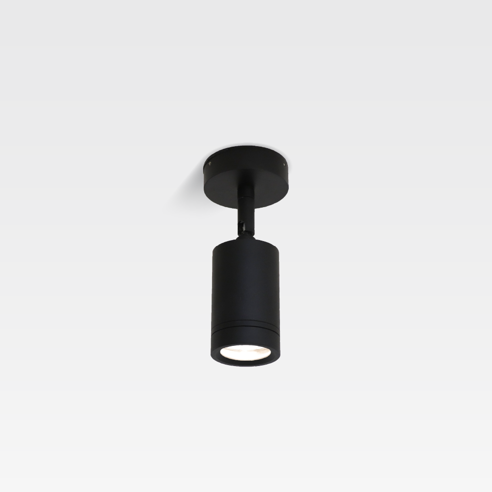 Thora Ceiling Lamp (IP65, Black)