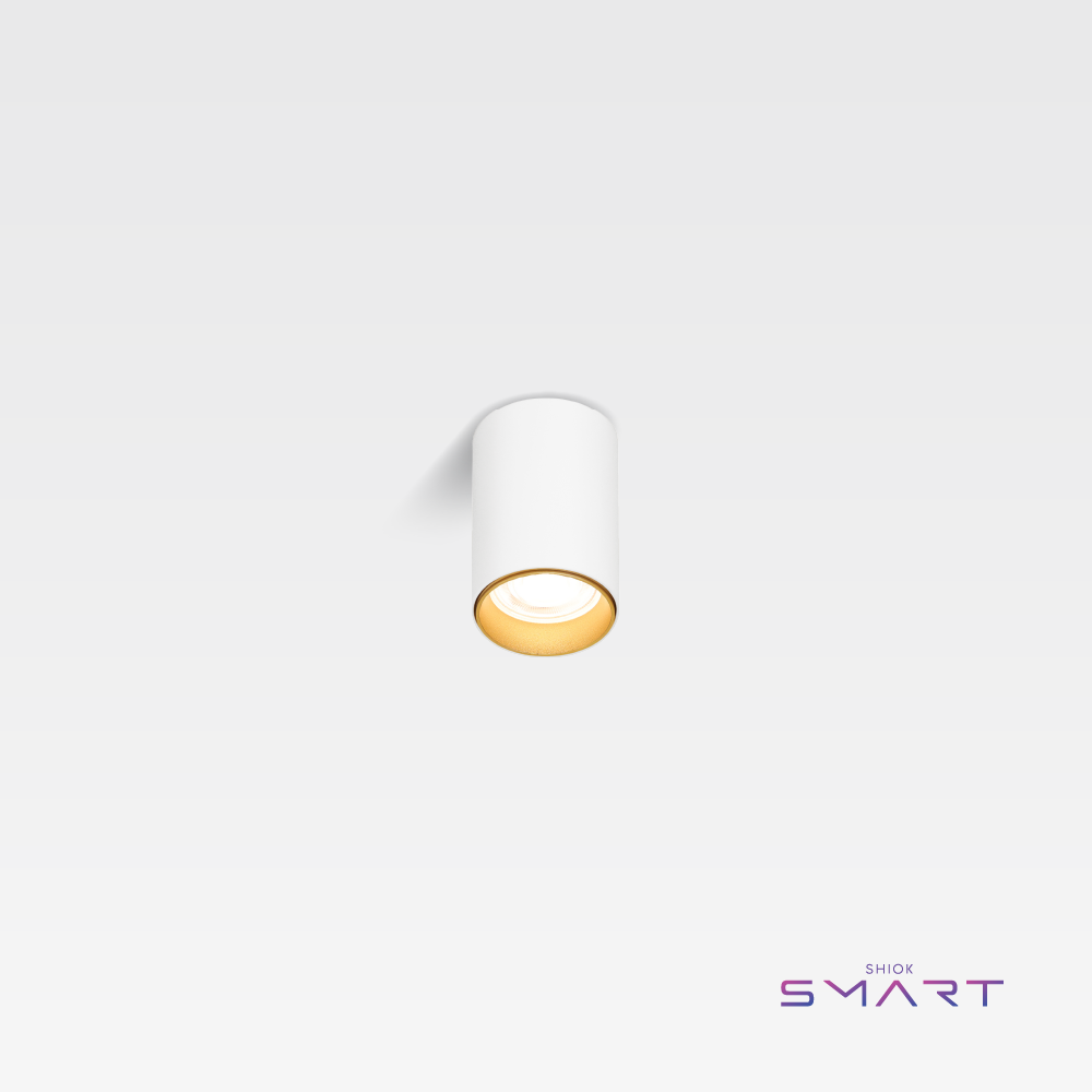 SMART Ara Ceiling Lamp (White)