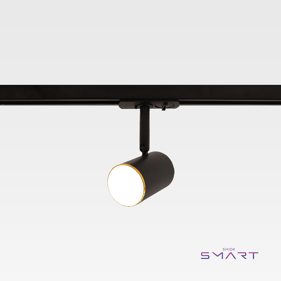 SMART Mero Tracklight (Black, Gold Trim)