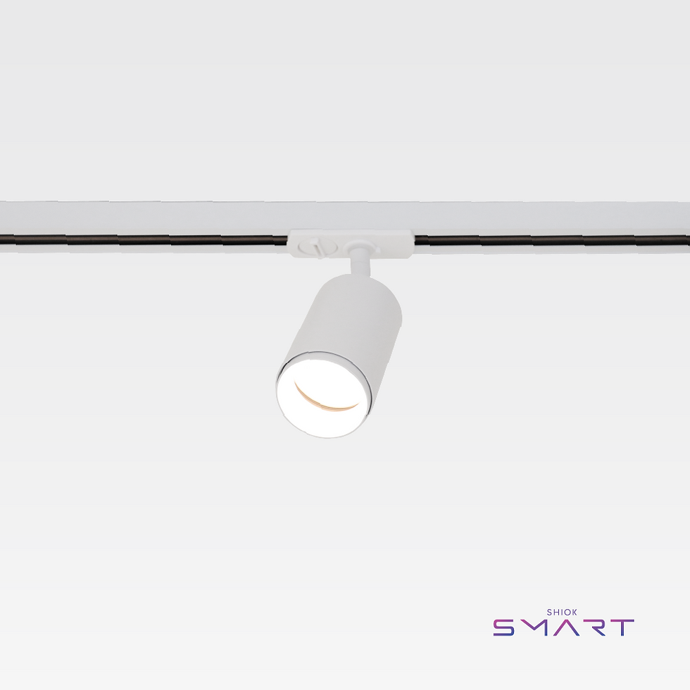 SMART Roma Tracklight (White)
