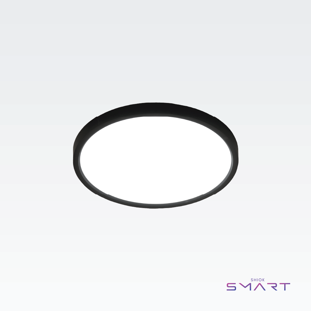 Dali Ceiling Lamp (Black)