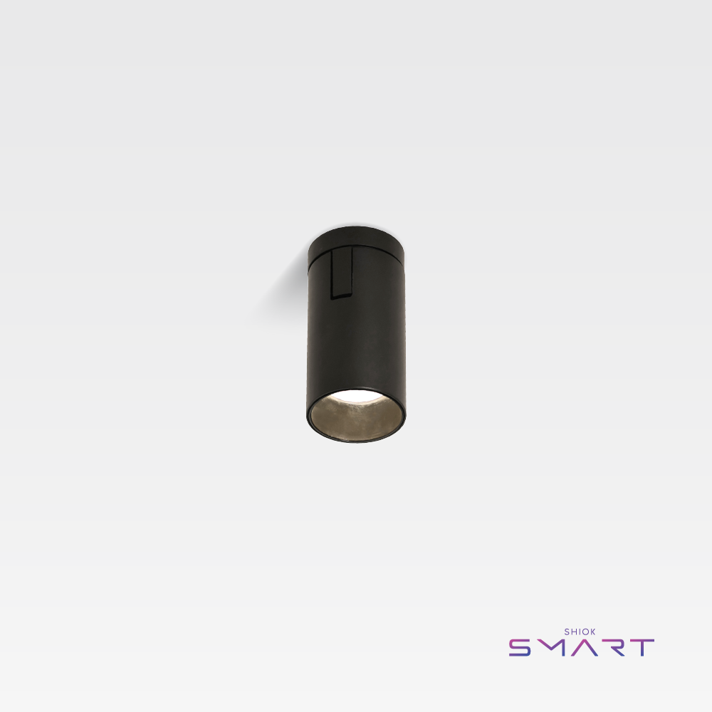 SMART Kava Ceiling Lamp (Black)