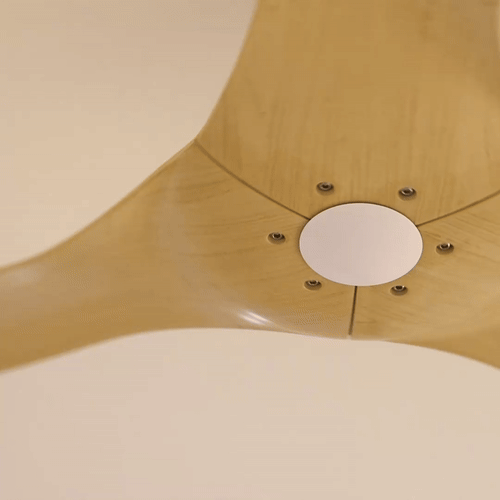 Point One Fans Category.gif