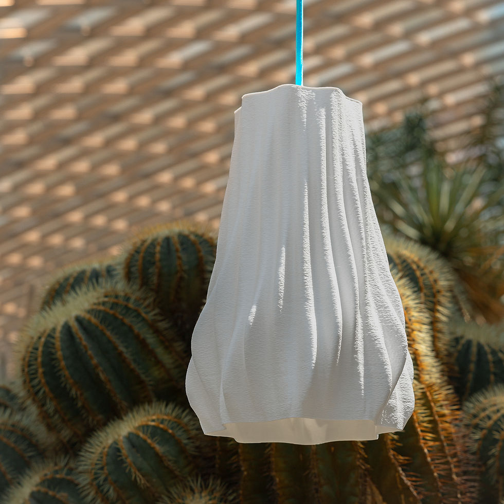 Thumbnail: Cactus Pendant Lamp