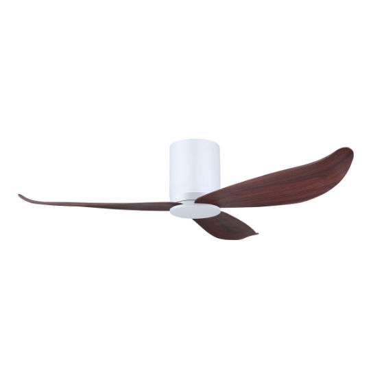 Thumbnail: Gust VSPEC-IV Ceiling Fan 01