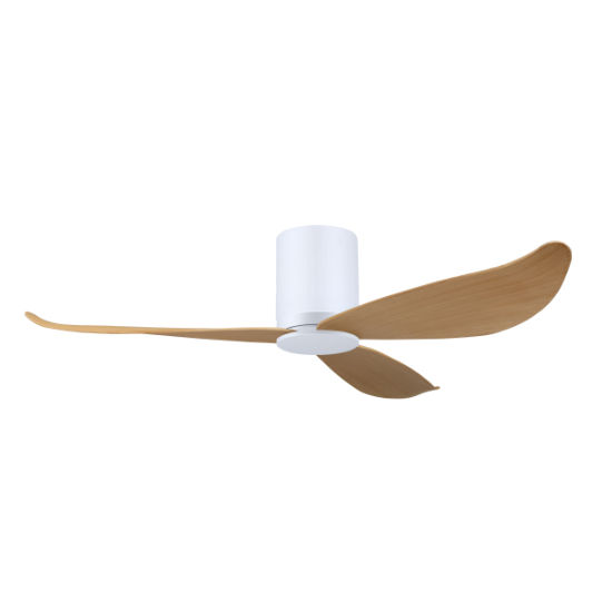 Thumbnail: Gust VSPEC-IV Ceiling Fan 01
