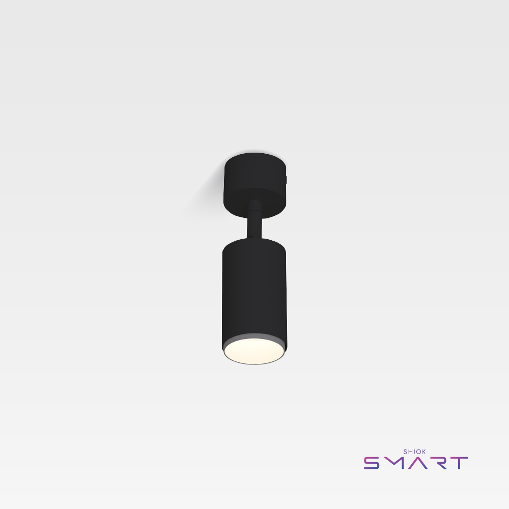 SMART Roma Ceiling Lamp (Black, Chrome Rim, Adjustable)