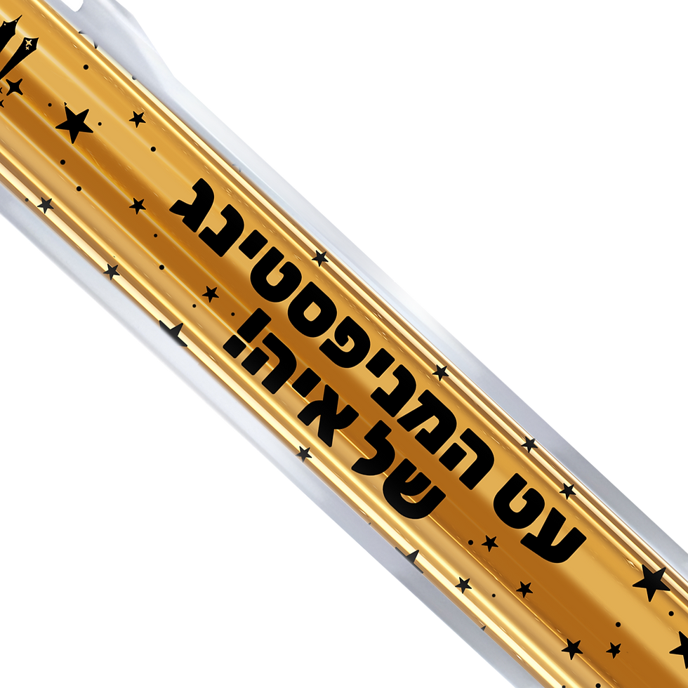 תמונה ממוזערת: עט קאסטום ״עט המניפסטיטנג של...!״
