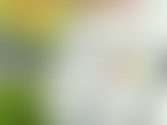 Saúde de Caiuá alerta principias focos de DENGUE.