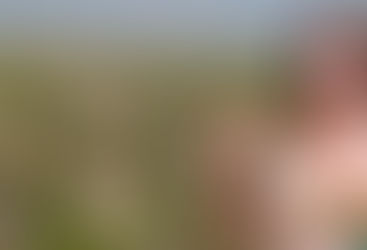 Prefeita Rute Almeida se reúne com secretariado para analisar primeiros meses do 2º mandato