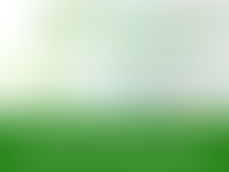 Informativo Meio Ambiente