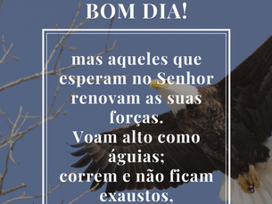 Bom dia!