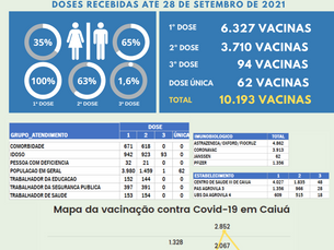 Boletim de vacinação contra a covid 19
