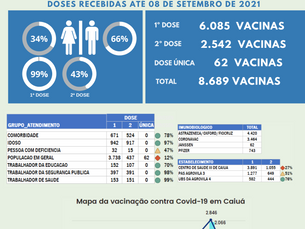 Boletim de vacinação contra a covid 19