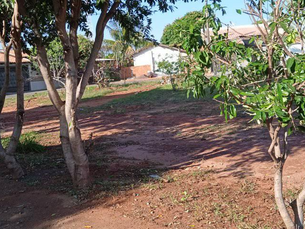 Professor marcos boquinha faz poda de árvores e limpeza em praça do cdhu em caiuá.