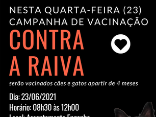Campanha contra a RAIVA