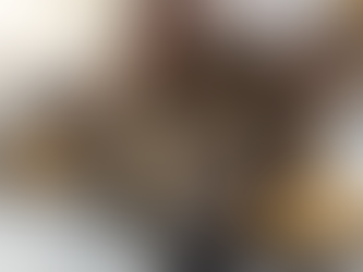 Coleira anti leishmaniose é método mais eficaz para evitar a doença em cães.