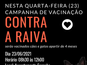 Vacina contra a RAIVA