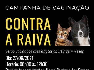 Campanha contra a raiva