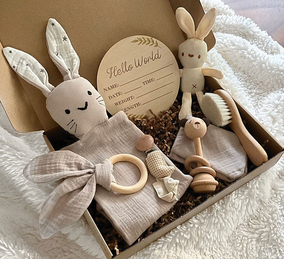 welcome baby gift set / baby shower gift / newborn gift set