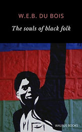the-souls-of-black-folk-87.jpg
