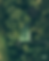Screenshot 2025-01-14 at 4.02.52 PM.png