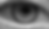 Screenshot 2025-01-22 at 9.33.36 AM.png