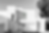 Screenshot 2025-01-14 at 1.37.50 PM.png