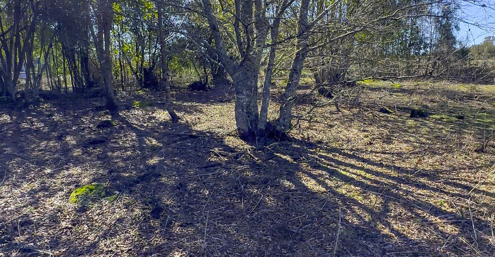 Country Pucón Austral Real Estate