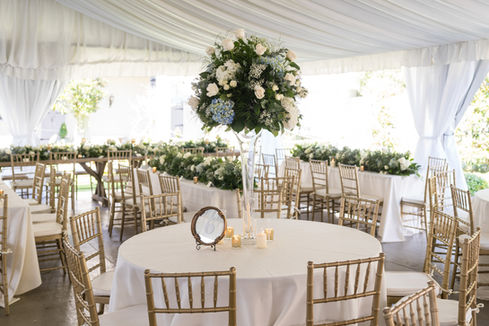 Bri + Alec-897.jpg