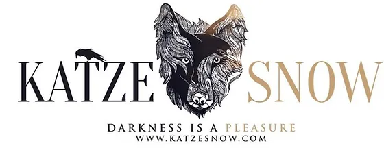 Winter Snow Publishing Katze